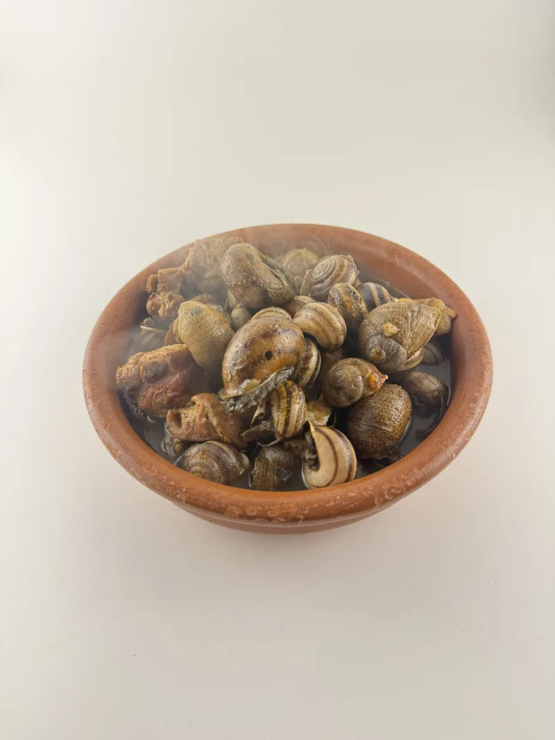 Snails
